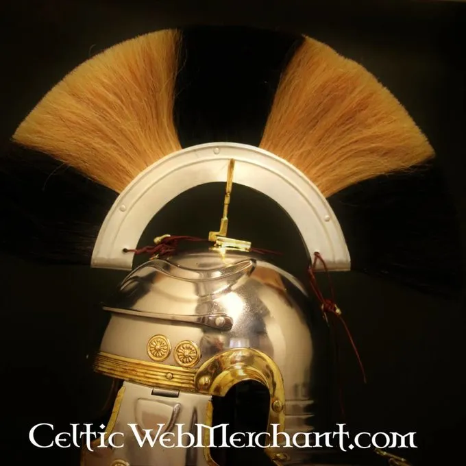 Deepeeka Gallic Galea G, Optio 4 Deepeeka Gallic Galea G, Optio - Image 2