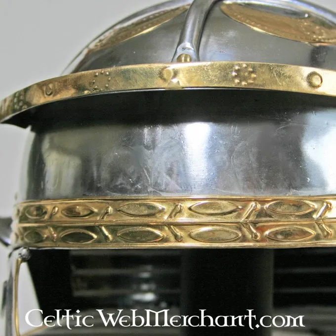 Deepeeka Imperial Italic Galea G, Hebron 8 Deepeeka Imperial Italic Galea G, Hebron - Image 6