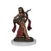 WizKids Pathfinder Battles: Female Human Bard Premium Painted Figure -Viking Clothing Shop pathfinder battles female human bard premium paint